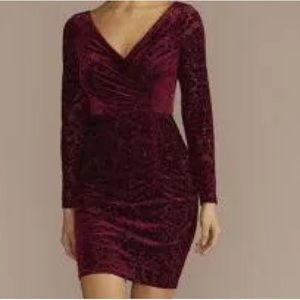 Plus Size Velvet Dress